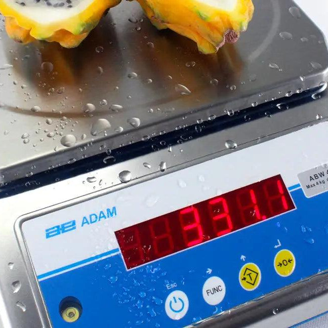 5 Ways Food Scales Maximise Efficiency in Food Production - Inscale Scales