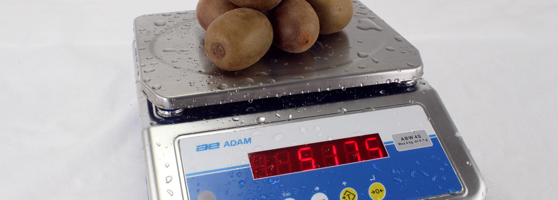 professional kitchen scales