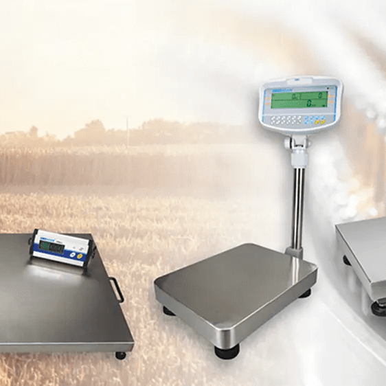 What are floor scales used for? - Inscale Scales