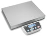 Kern DE-D Standard Platform Scale - Inscale Scales