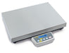 Kern DE-D Standard Platform Scale - Inscale Scales