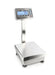 Kern FES High Capacity Precision Balance - Inscale Scales