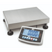 Kern IFB Industrial Floor Scale - Inscale Scales