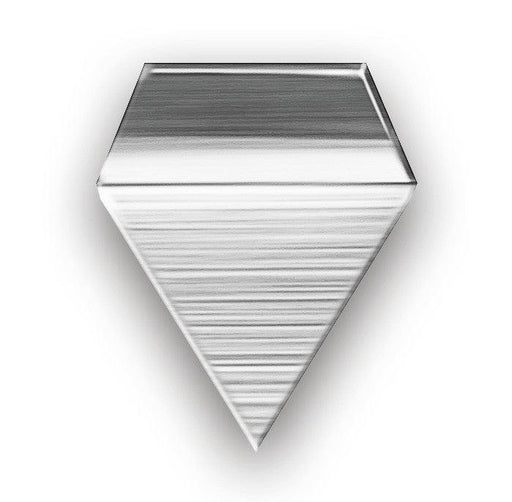 318-04 E2 Class 10mg Test Weight - Inscale Scales