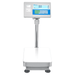 BCT Counting Scale 300 x 400mm plate front view