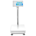 BCT Counting Scale 400 x 500mm plate front view