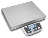 Kern DE-D Fine Resolution Floor Scale - Inscale Scales