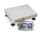 Kern SFE Approved Stainless Steel Platform Scale - Inscale Scales